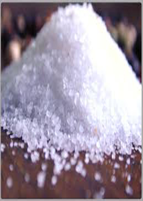 Food Salt